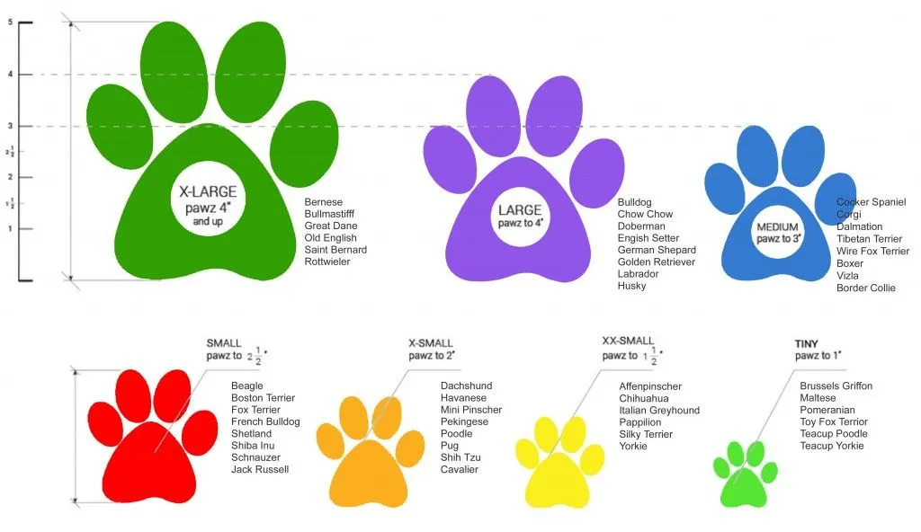 PAWZ Booties
